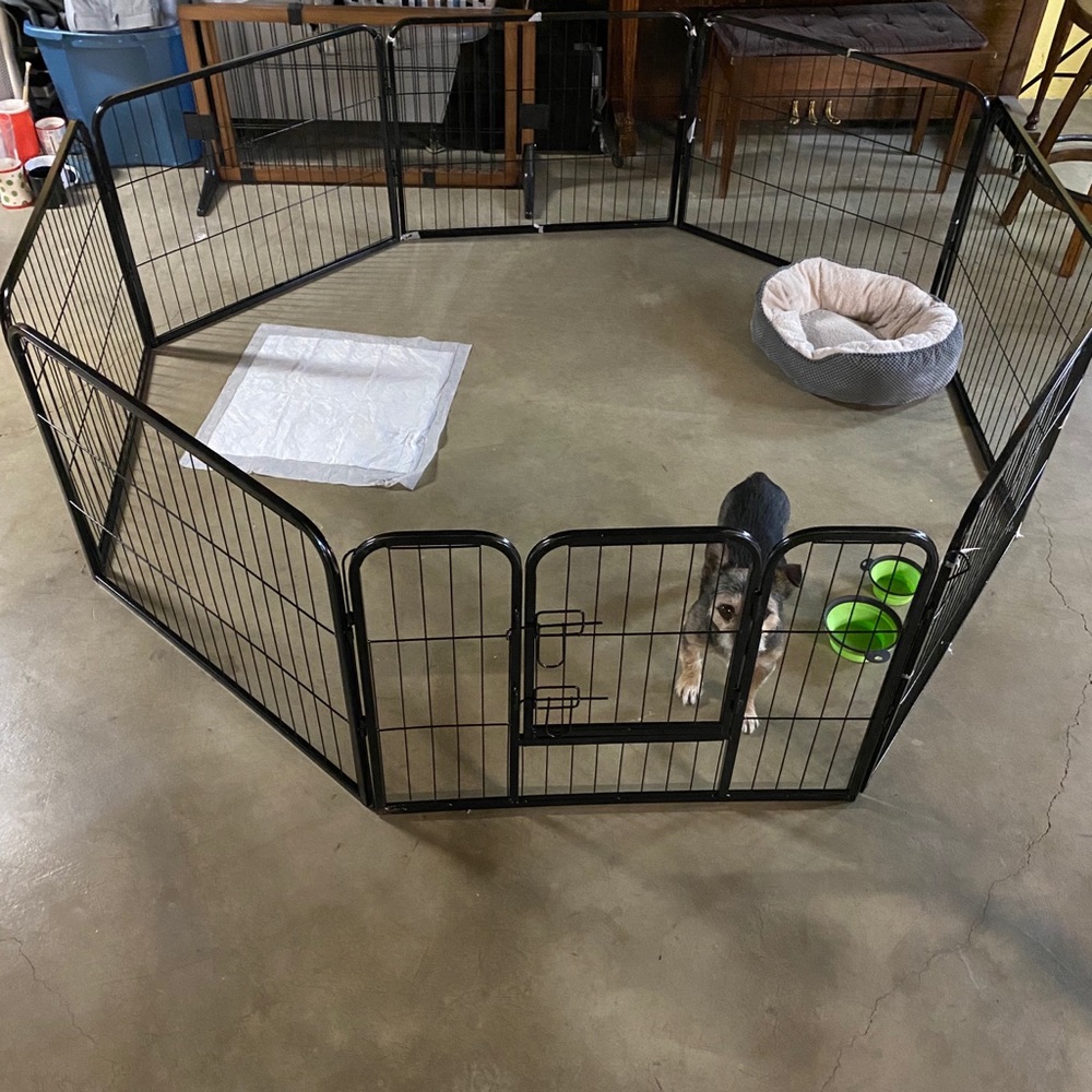 Doggy kennel